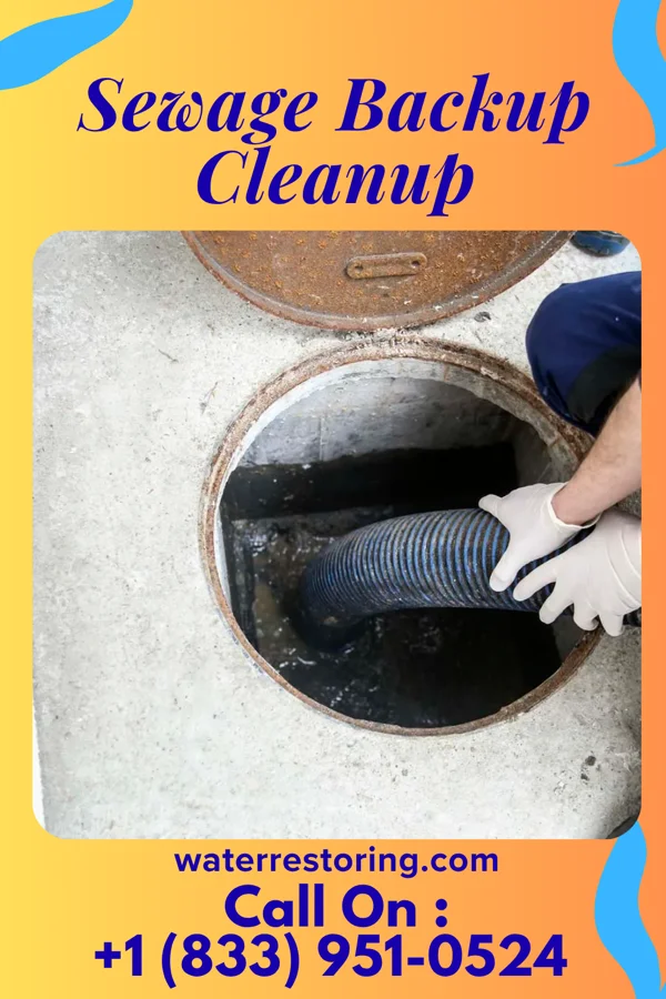 Sewage Backup Cleanup in Cleveland, NC